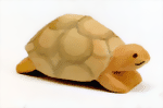 Ostheimer Schildkröte Ostheimer Schildkröte